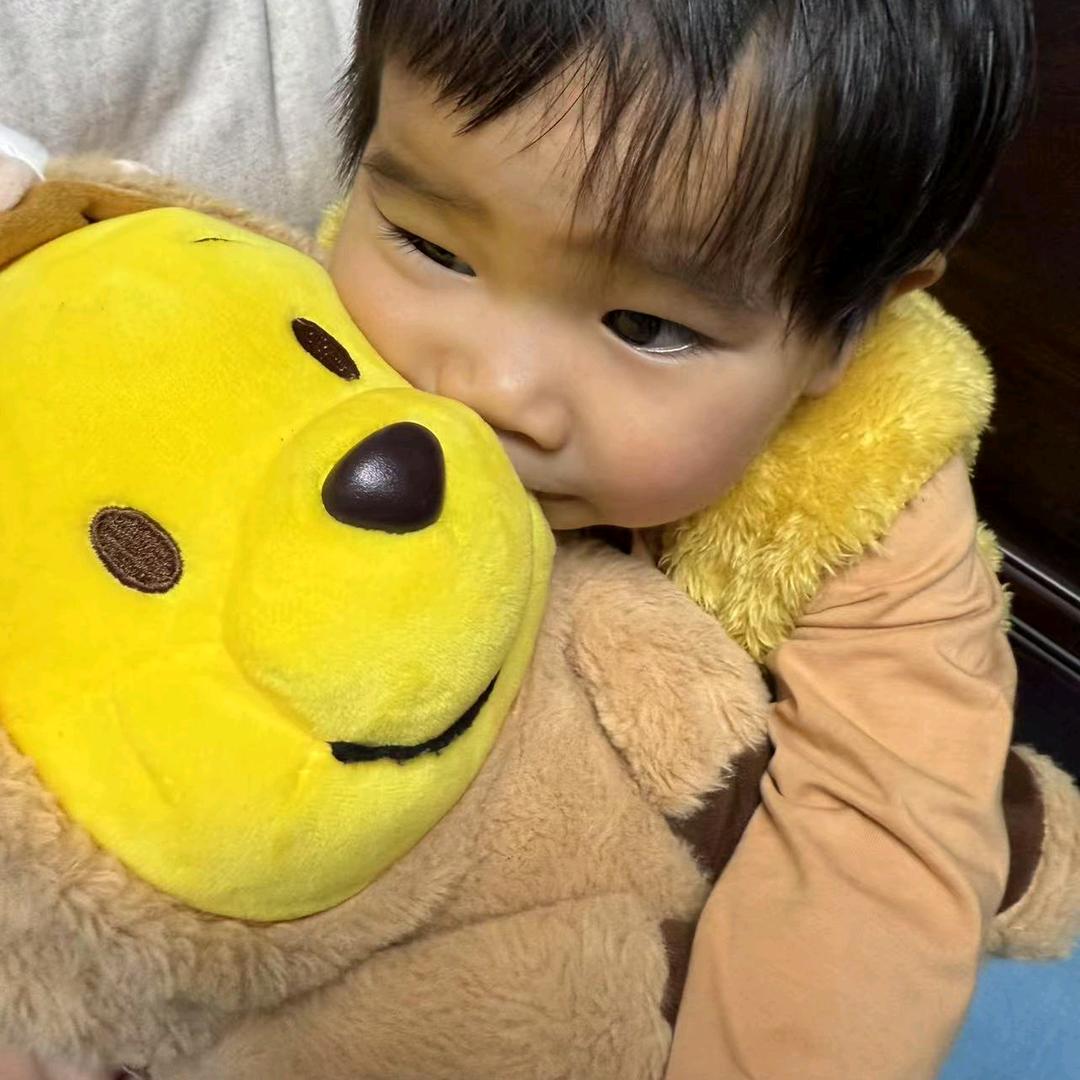 戴戴