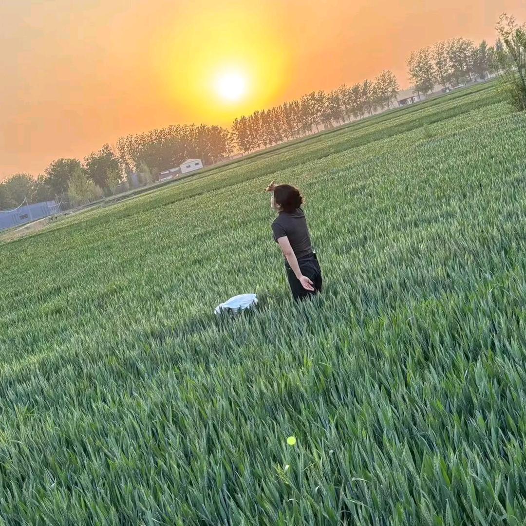 朵朵麻麻