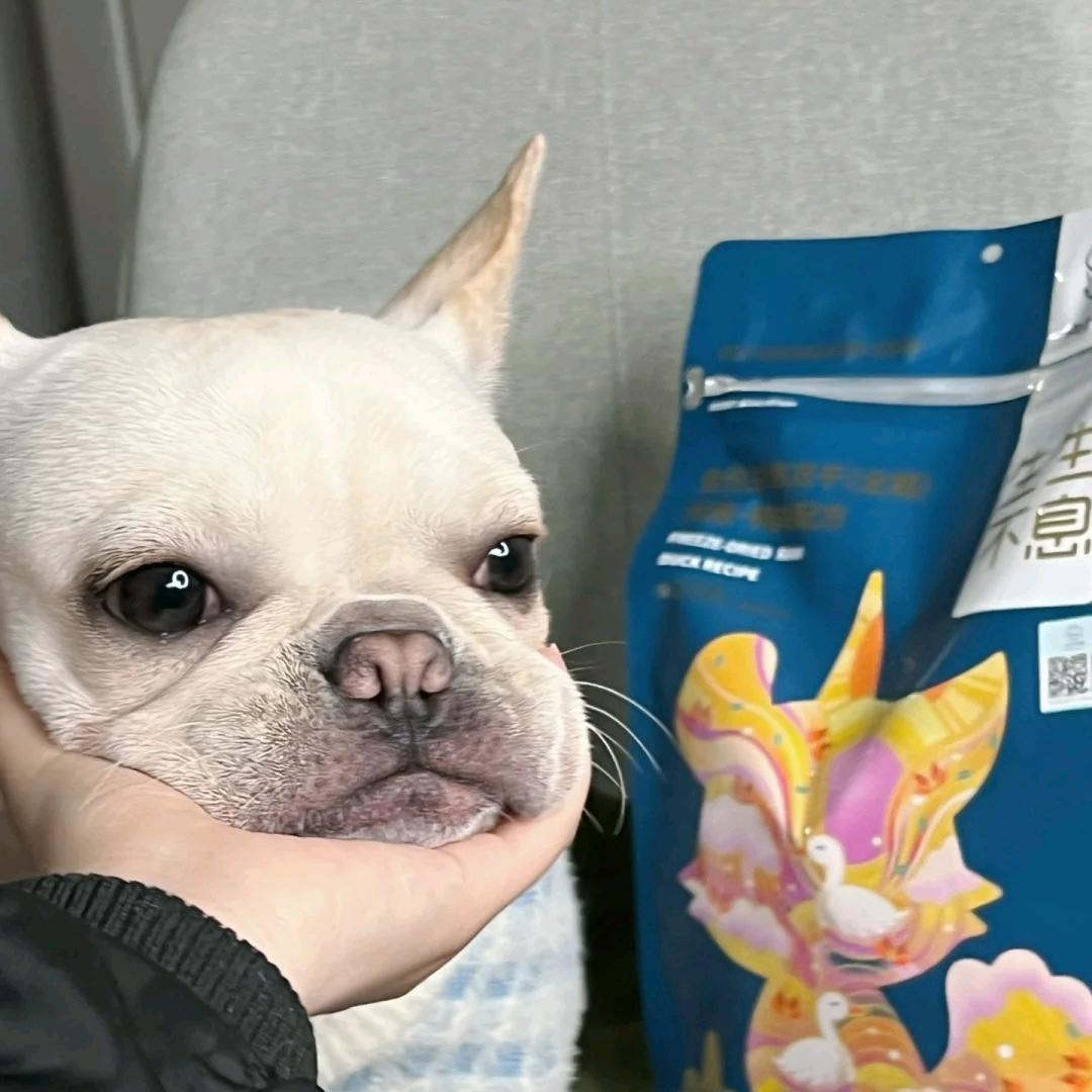 缘木求鱼