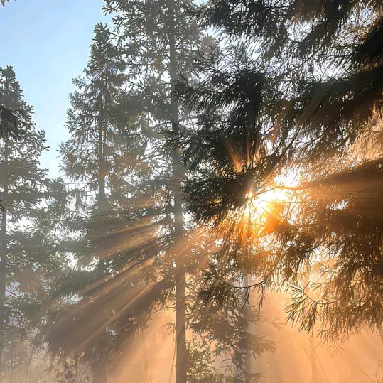 歹遨管家定制