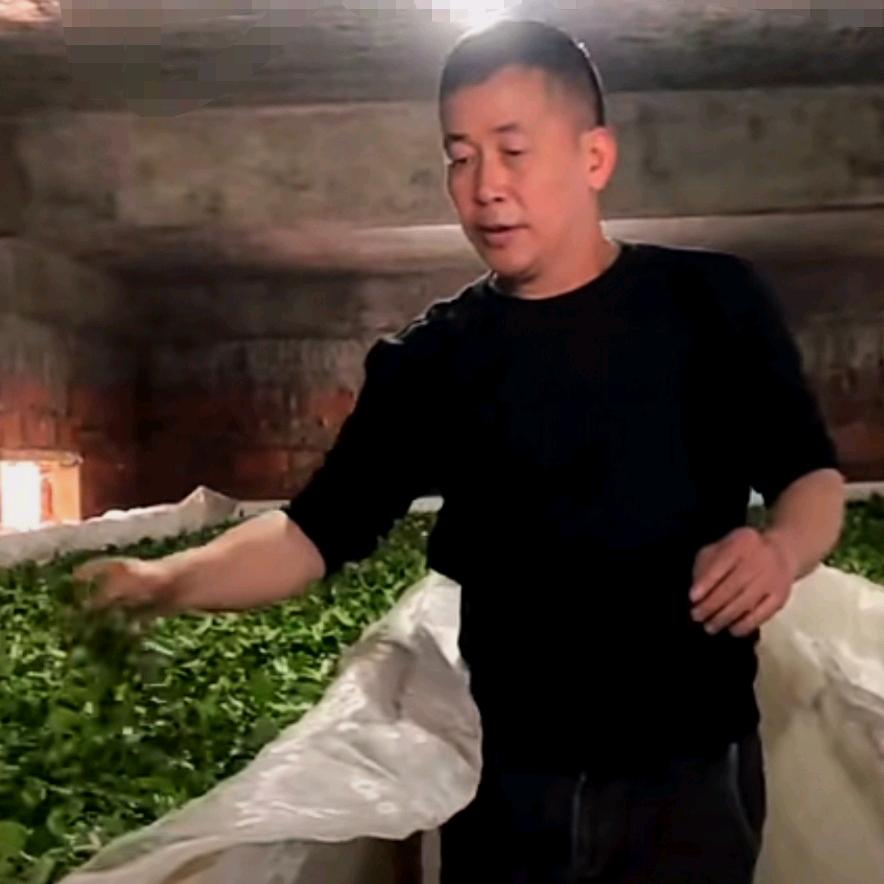 茗睿岩茶叶（茶师李哥）