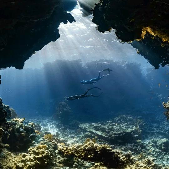 阿辉赶海