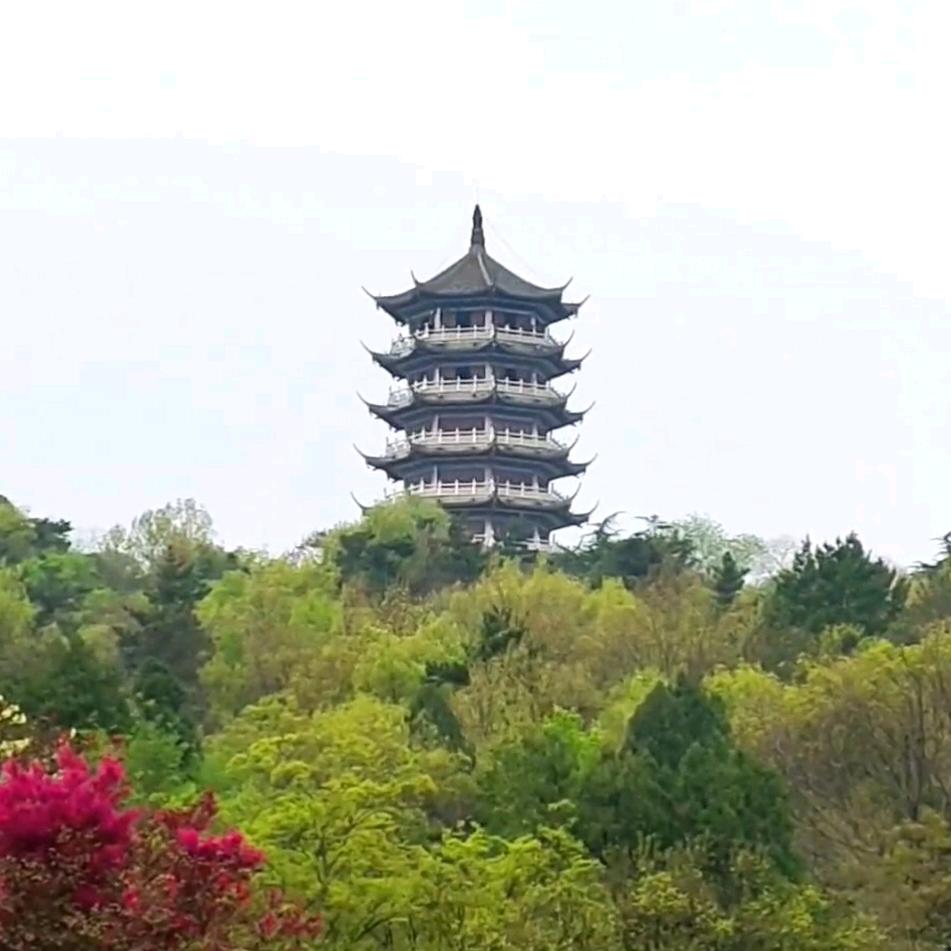 珠城之窗
