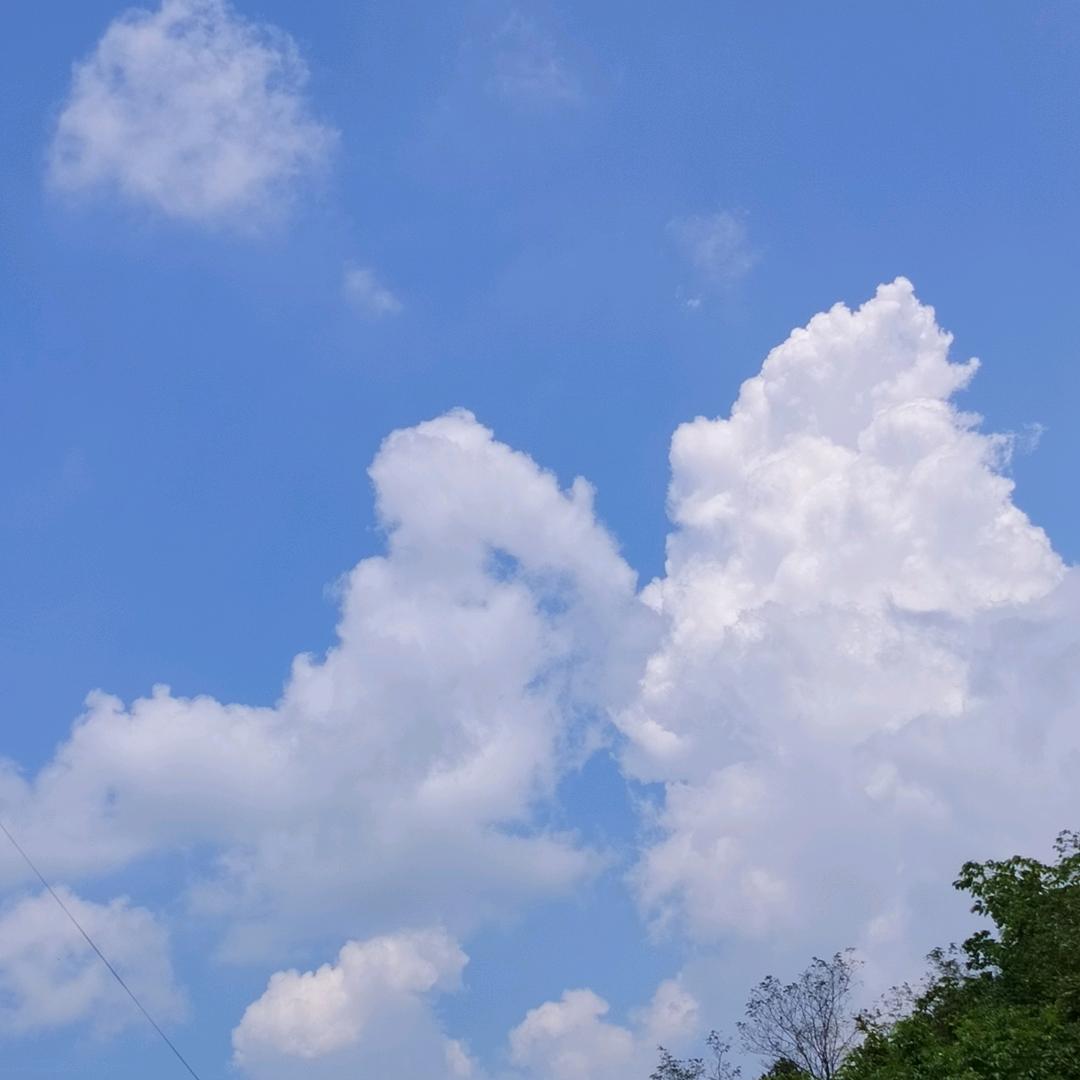雨是天空的泪