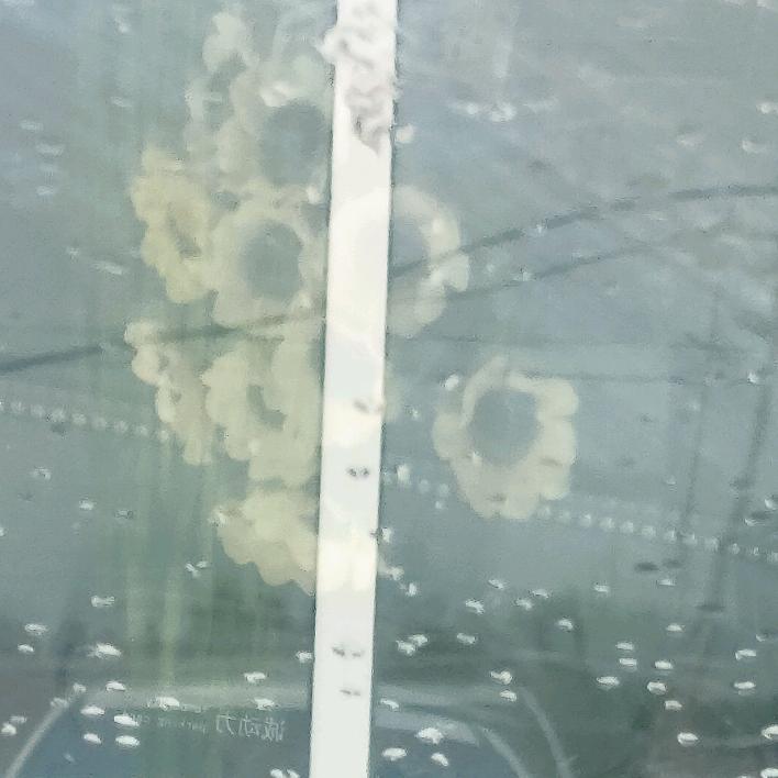 向日葵🌻
