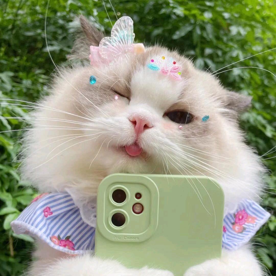 🌈小米乐快长大