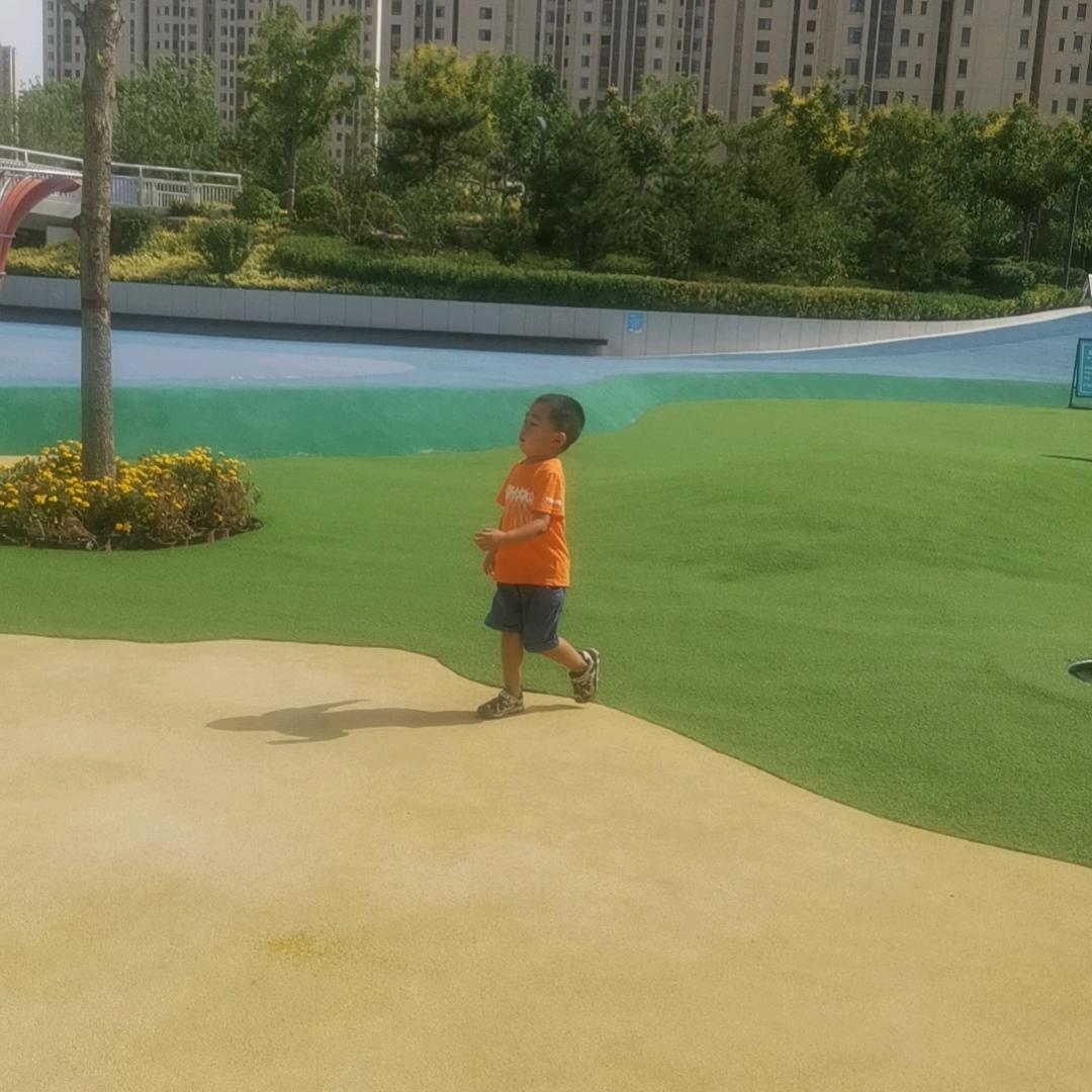 只谈缘不谈元