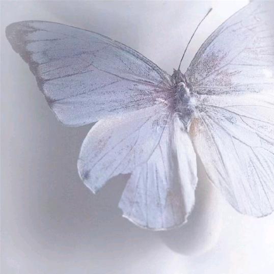 🌷