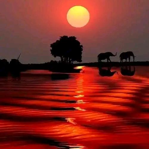 liyigao夕阳红