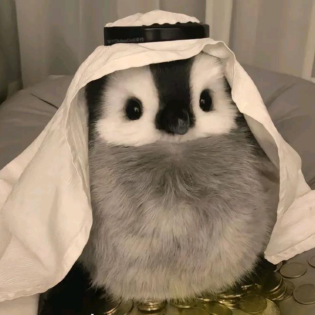 小声说：，