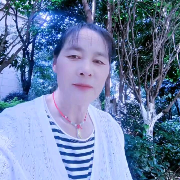 梅花姐