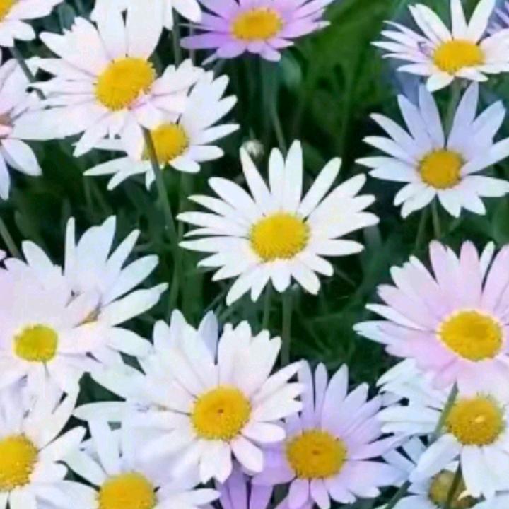 我的事情我作主