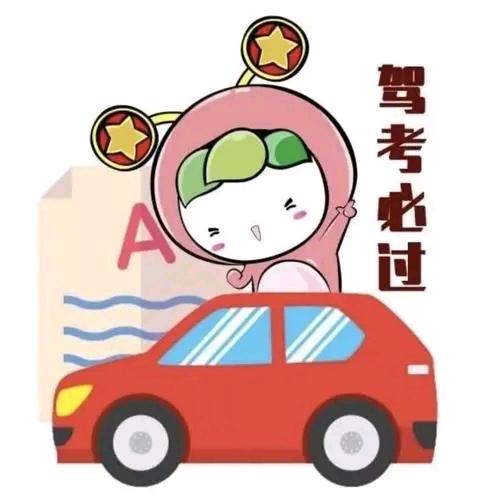 鱼姐AA  驾考科一科四