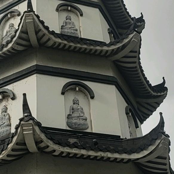 利辛三哥