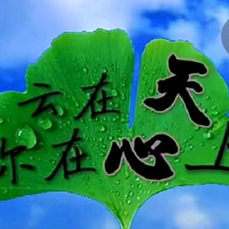 永不言弃🍀