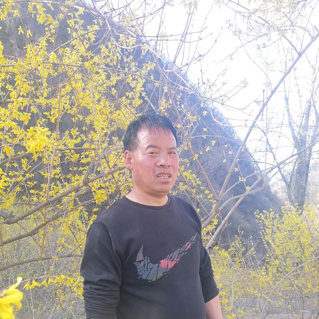白土连翘超人