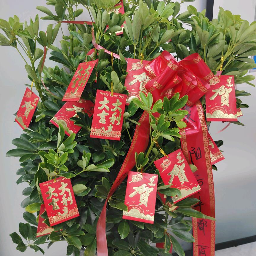 德膳康优品汇