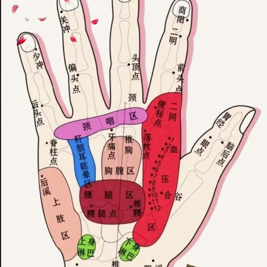 葛大叔私密保护