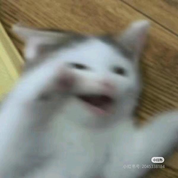 弥弥弥弥弥弥弥