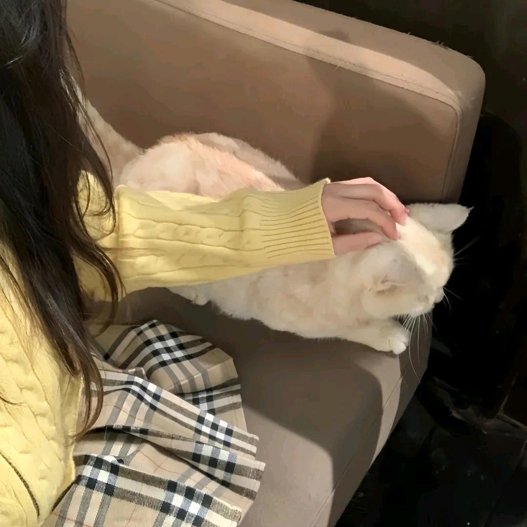 思羽🍭
