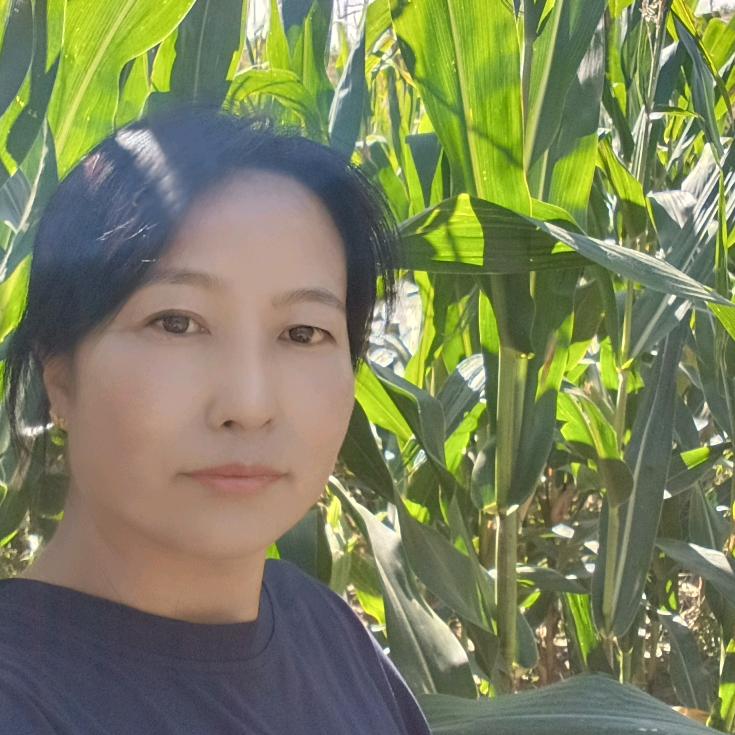 老农乐