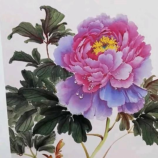 馨兰