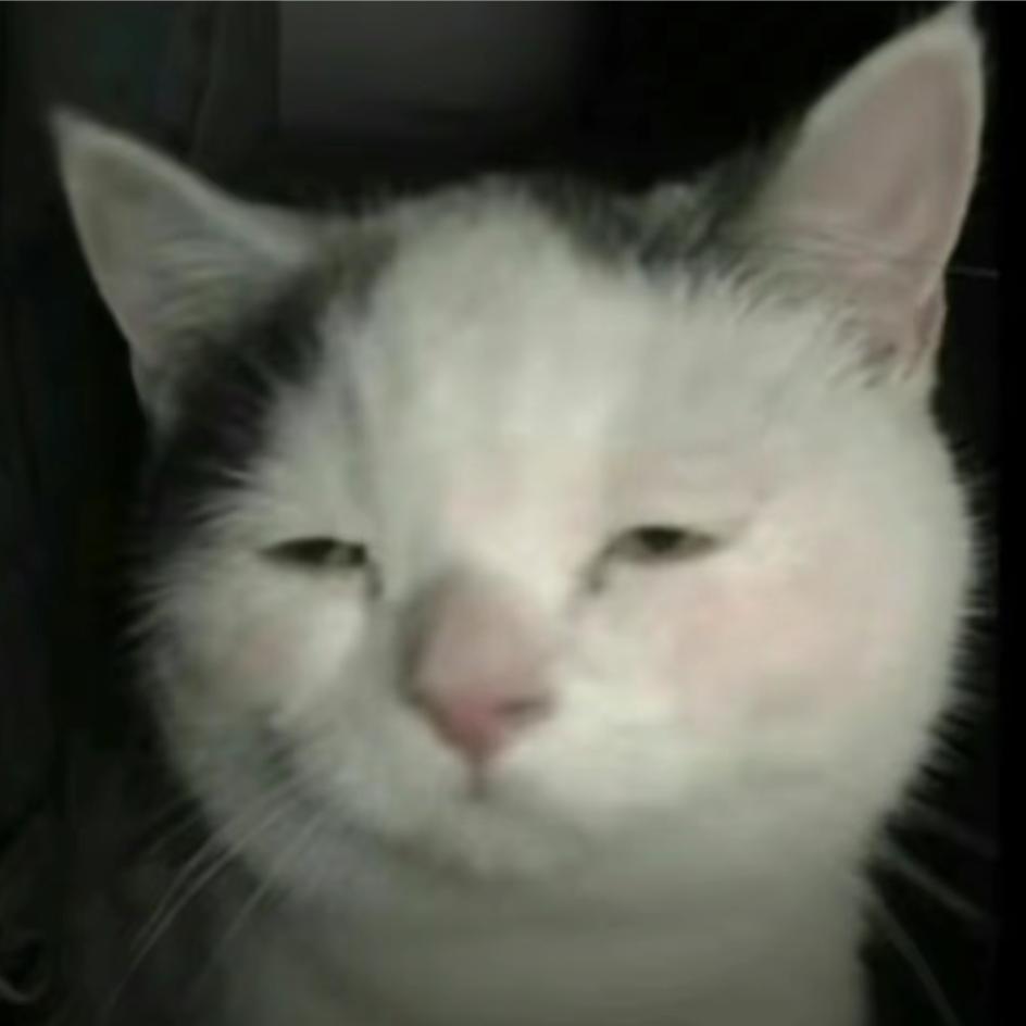 安追