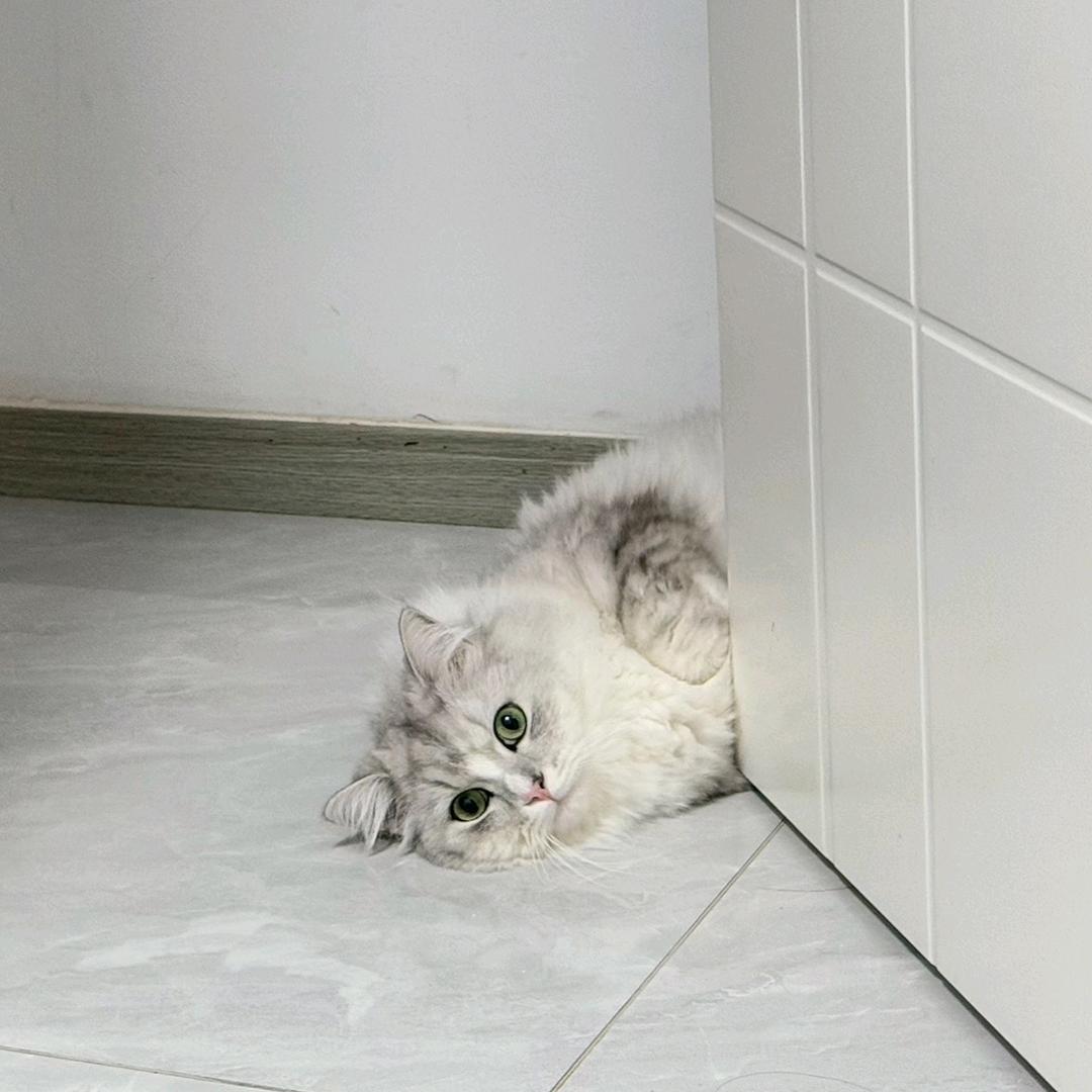 bubbIe