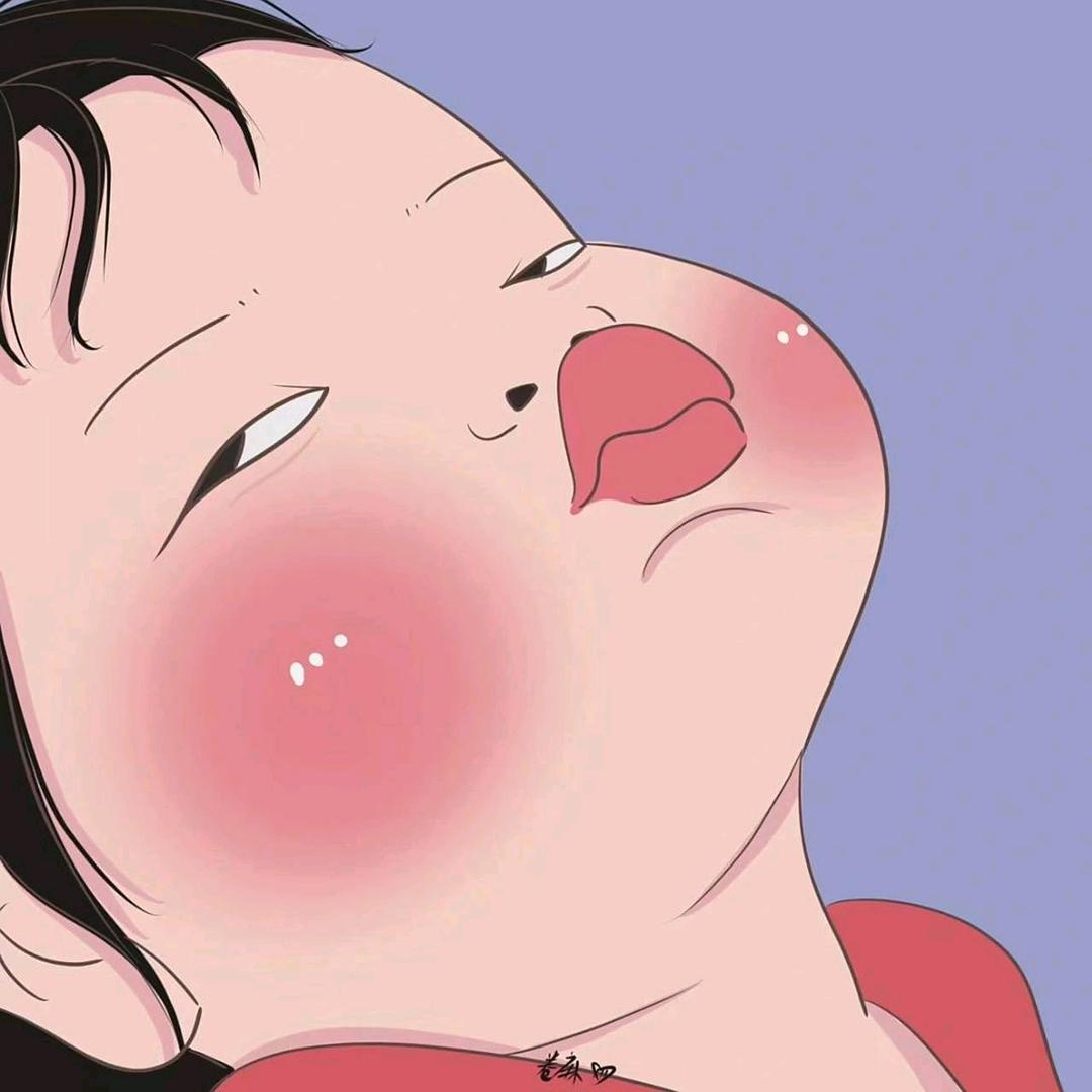 风澈车  影视