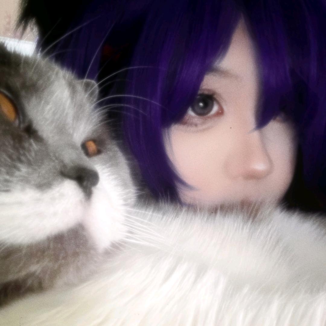 狒狒籽