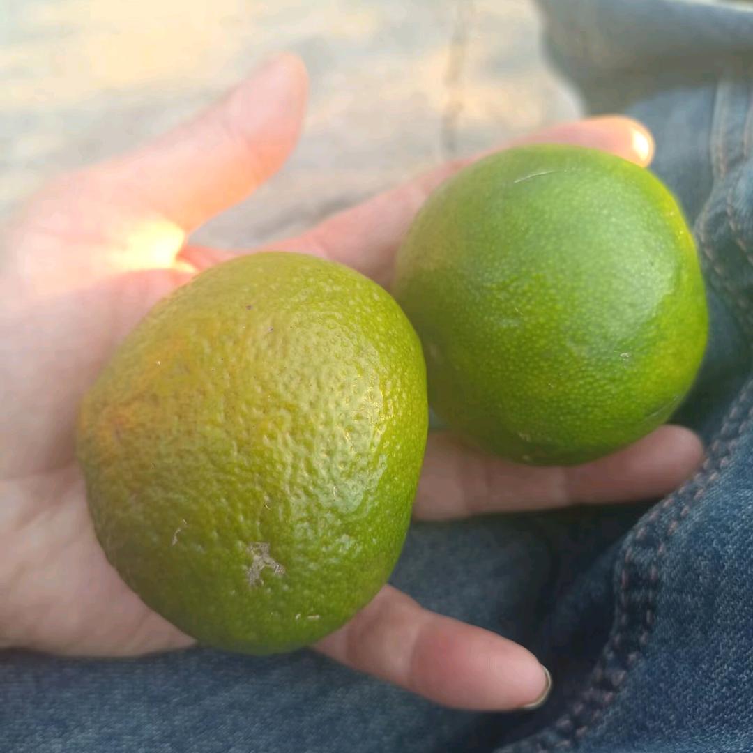 相濡以沫