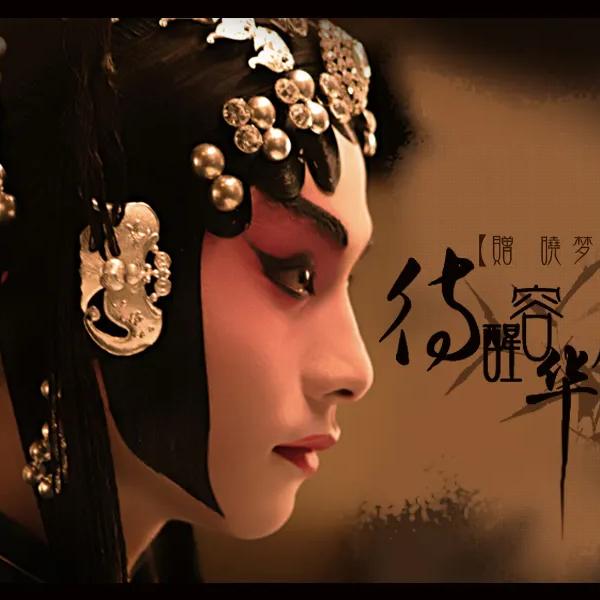淘盟萌