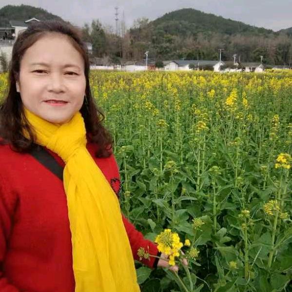 卢姐首播（每天早晨9：10）开播