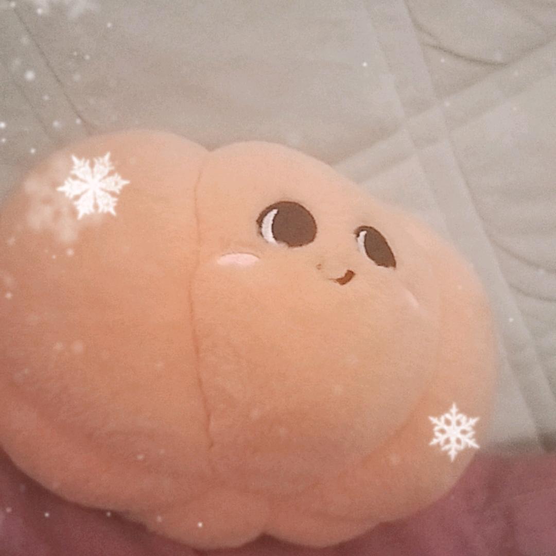 月亮哥
