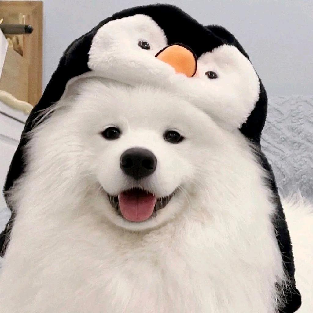 春天的熊。
