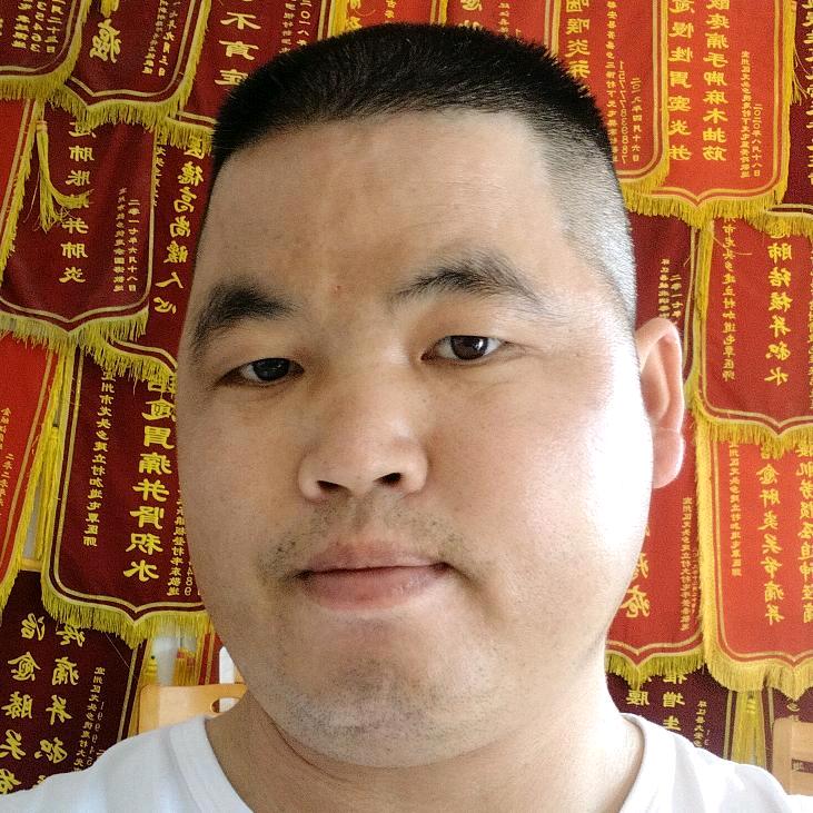我的大森林