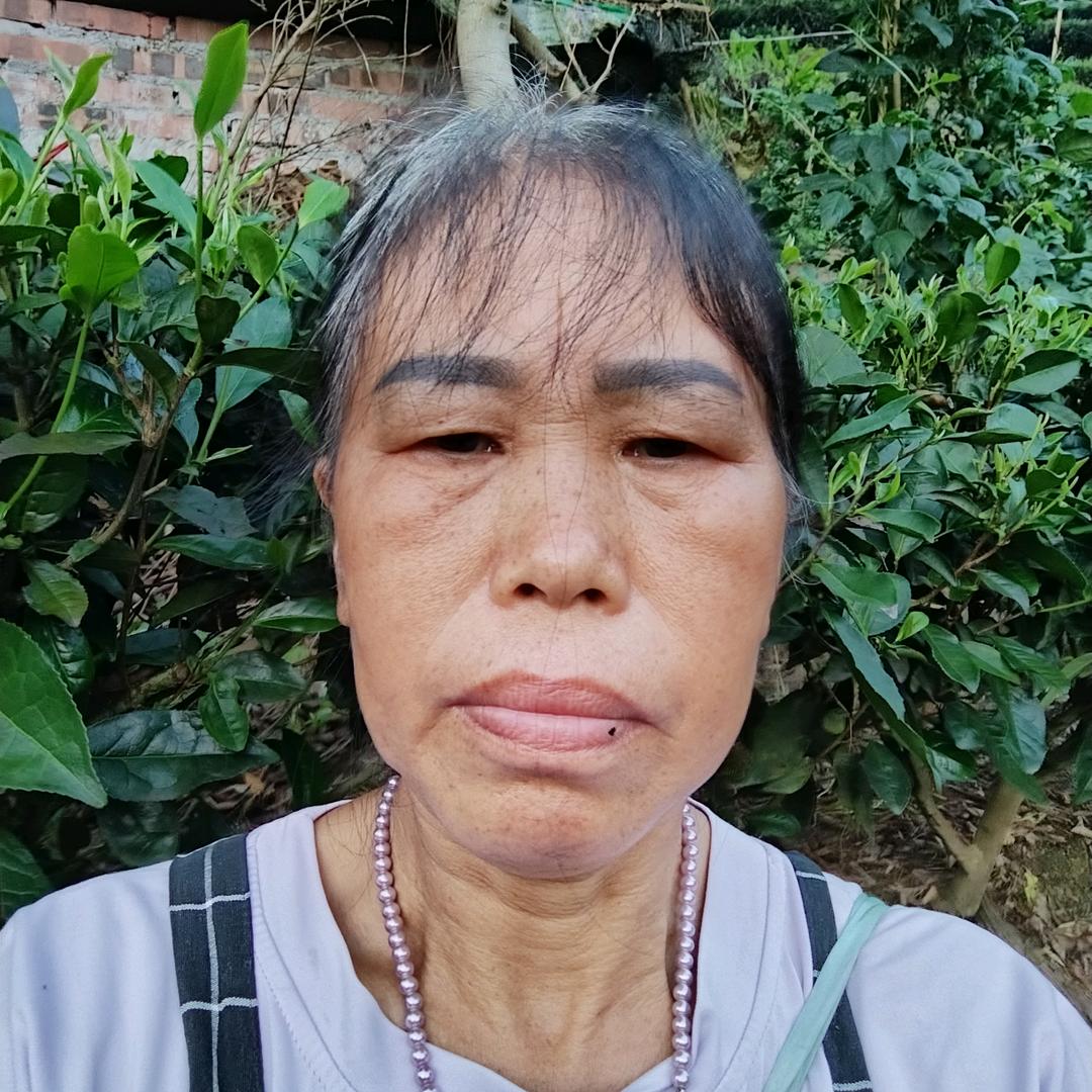 明凤姐