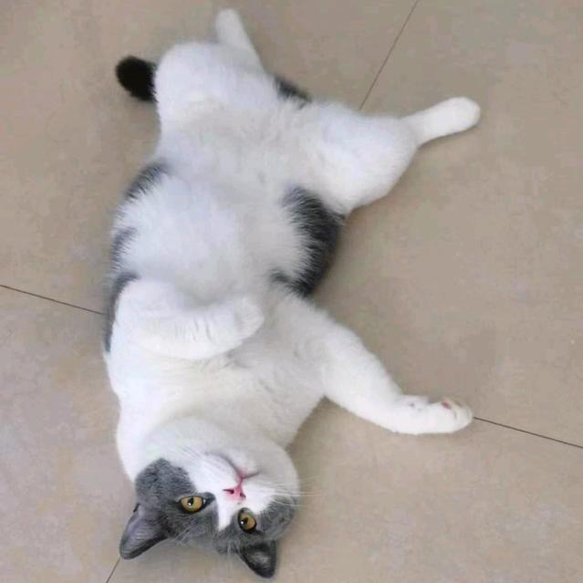 小正姐