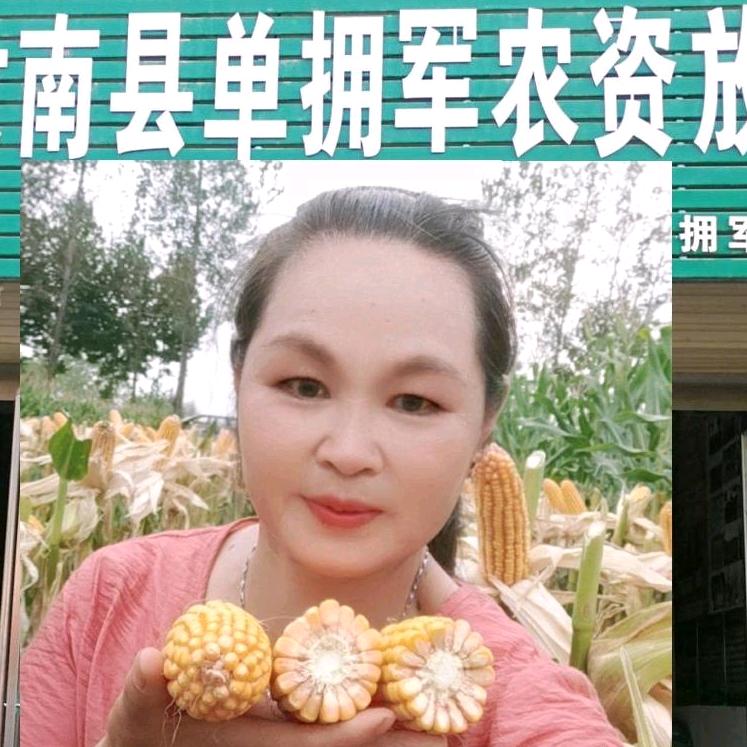 任姐聊农业(余店单拥军农资)