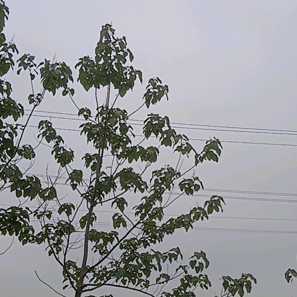 顺其自然