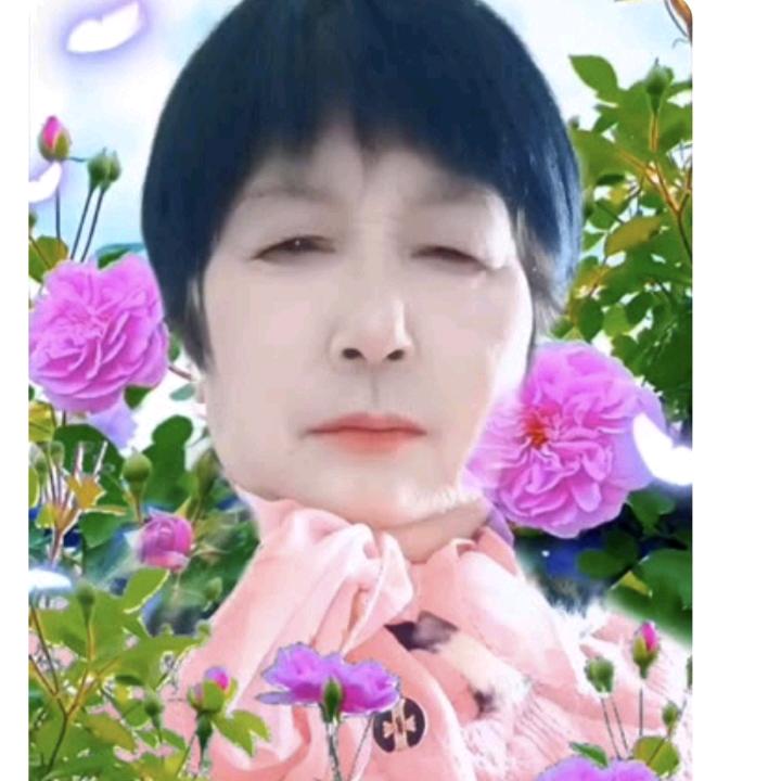 好福气666
