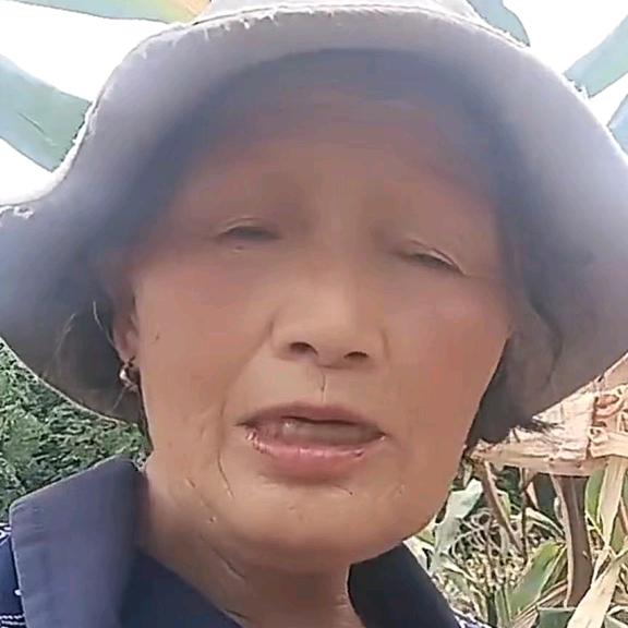 罗二奶