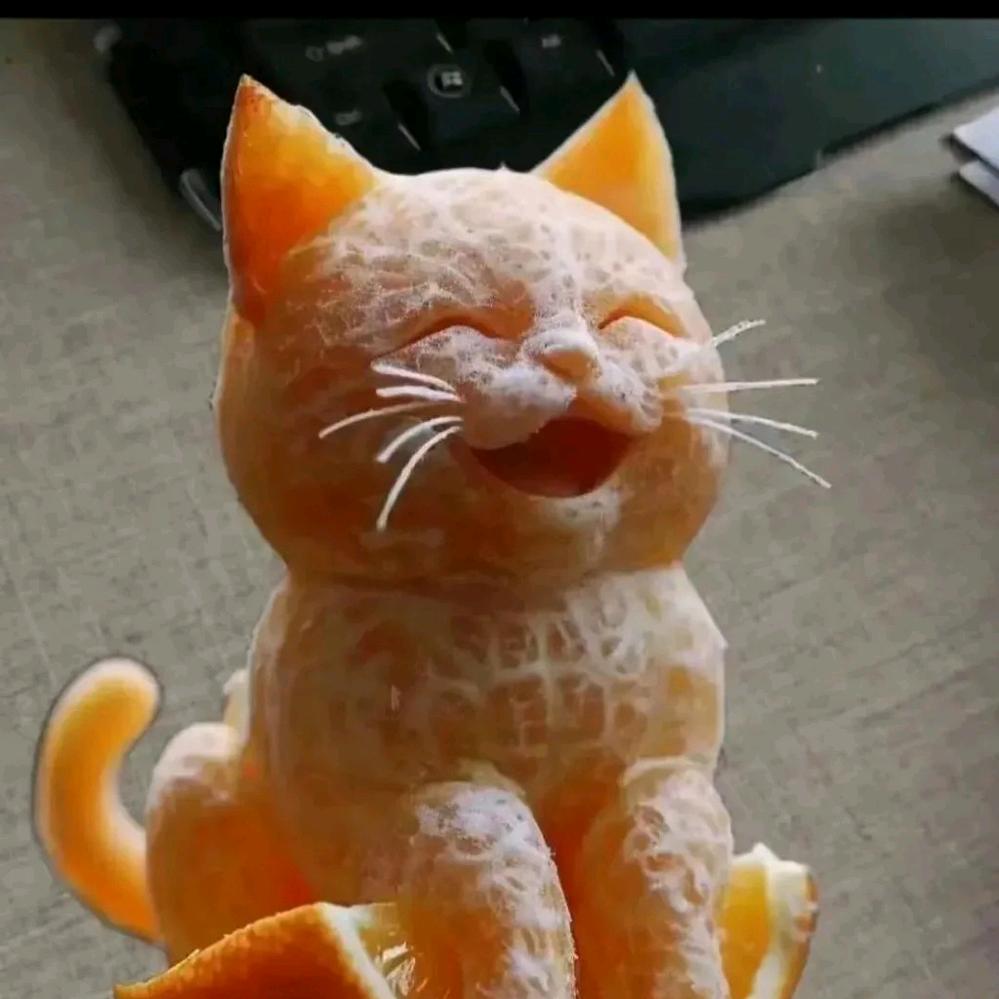 养只财猫