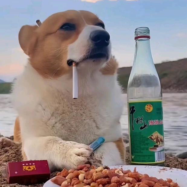 梦醒 不如初