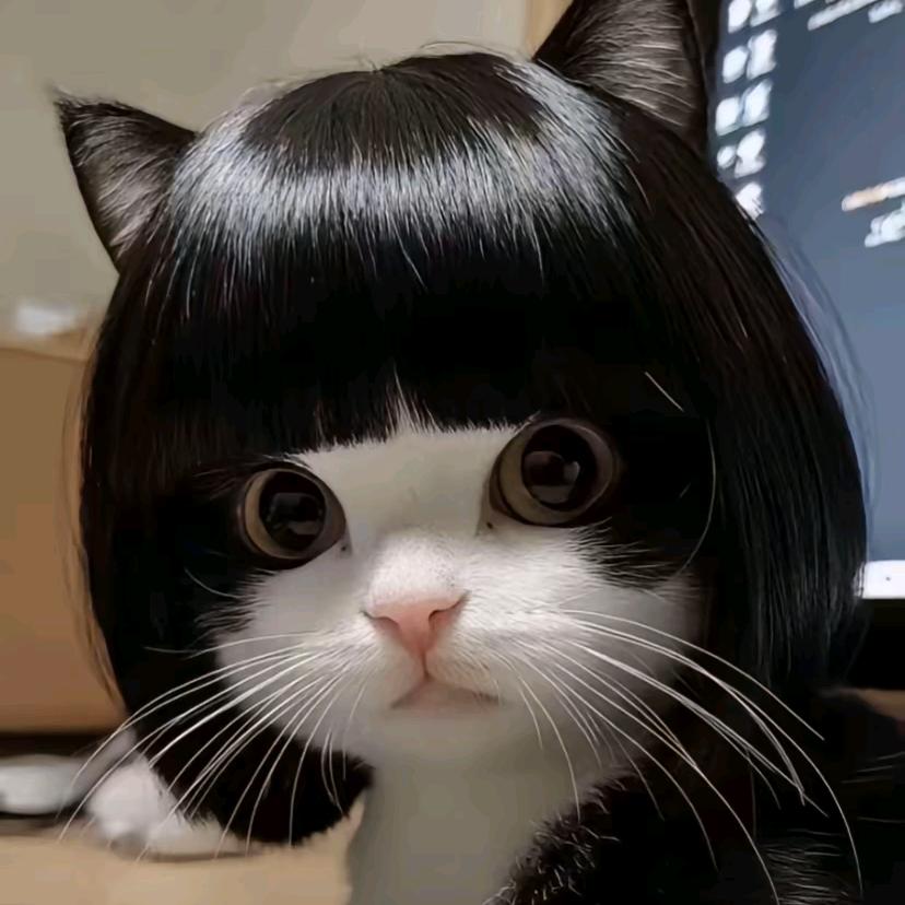 邢xx