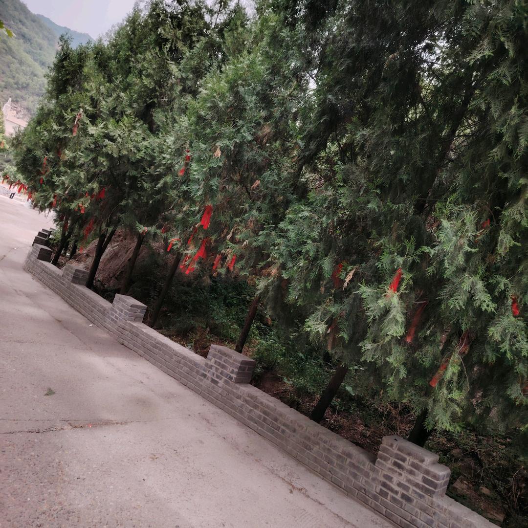 名洲公园
