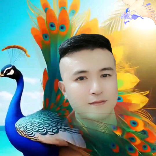 阿彬🌹有缘相随👫