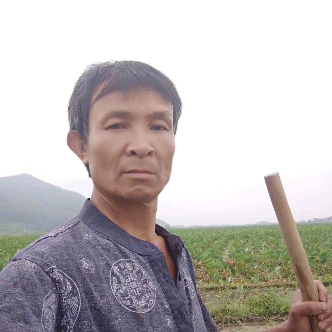 乡下人