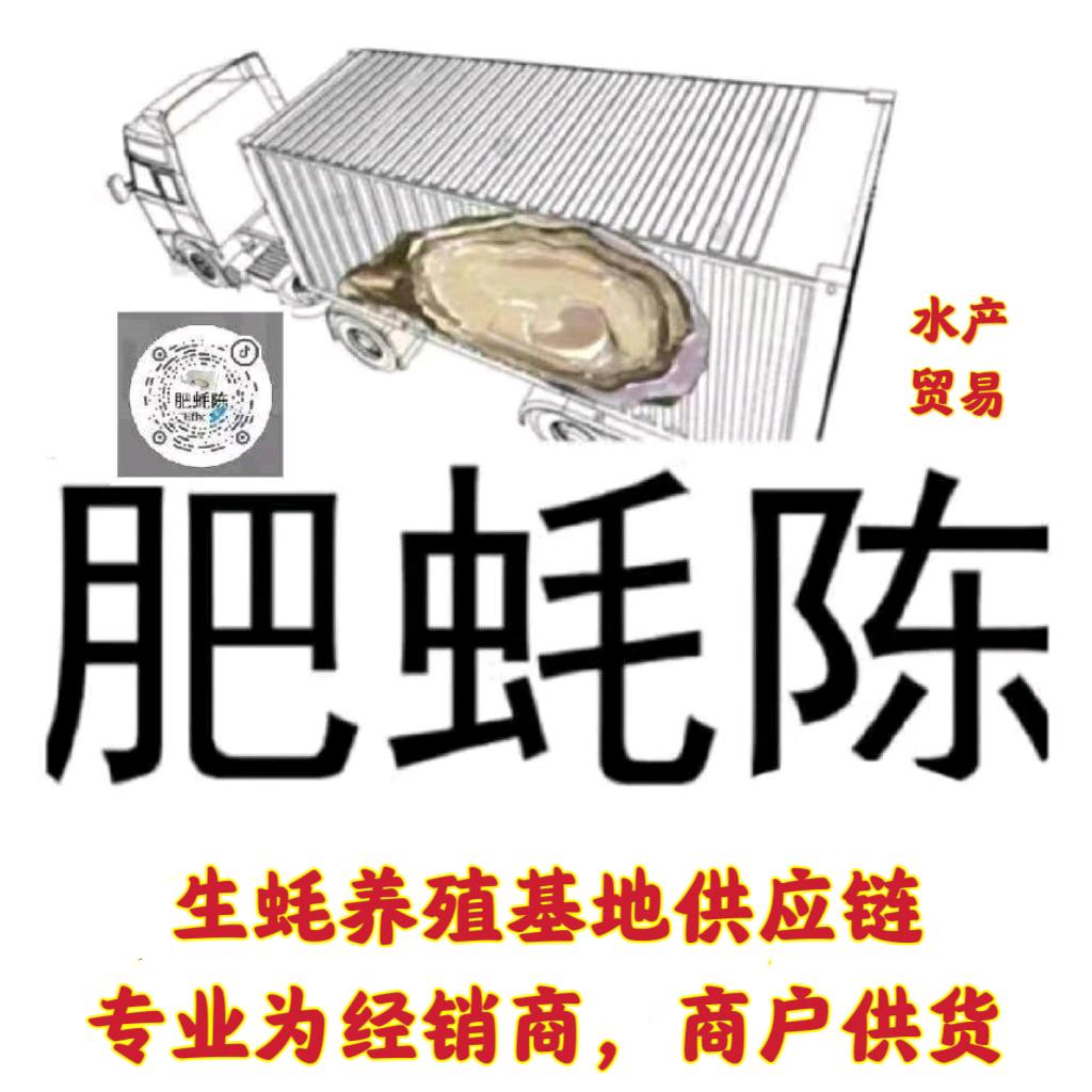 肥蚝陈水产（生蚝养殖基地供应链）