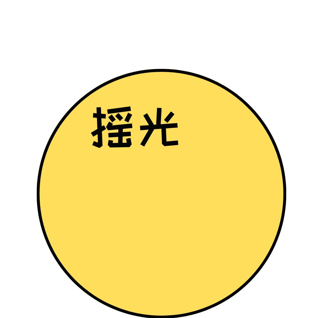 摇光是谁